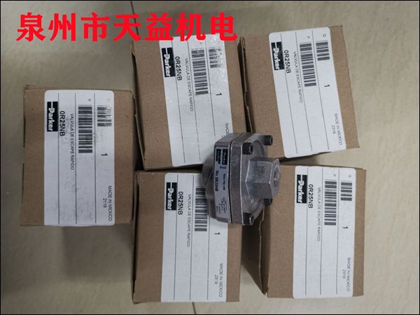 0R25NB   閥門(mén)件