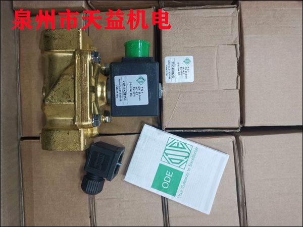 21H14K0B250 ODE蒸汽電磁閥